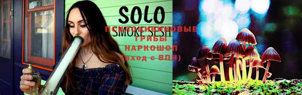 ешки Бронницы