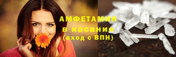 PSILOCYBIN Бородино