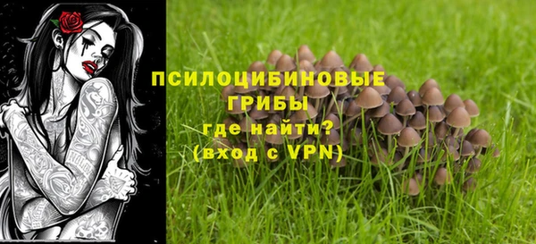PSILOCYBIN Бородино