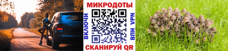 Купить где  Вытегра  Галлюциногенные грибы Cubensis 